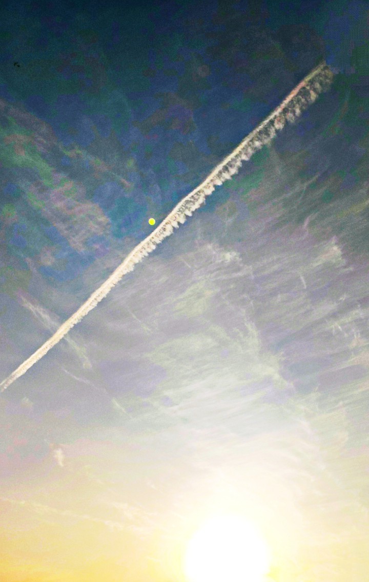 Late Afternoon