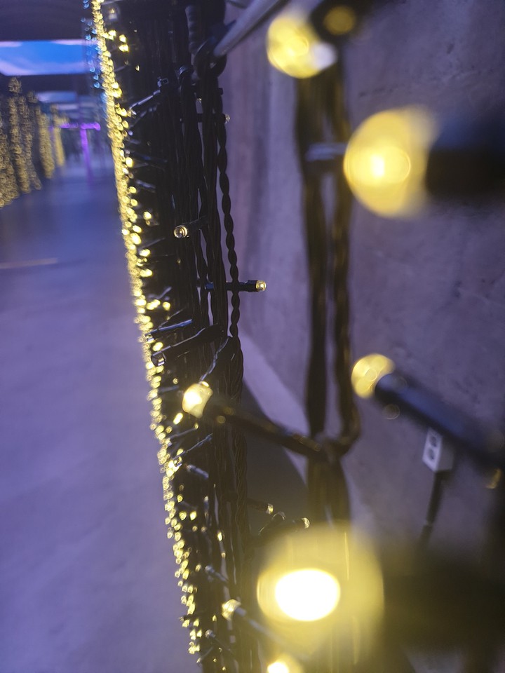 tiny lights