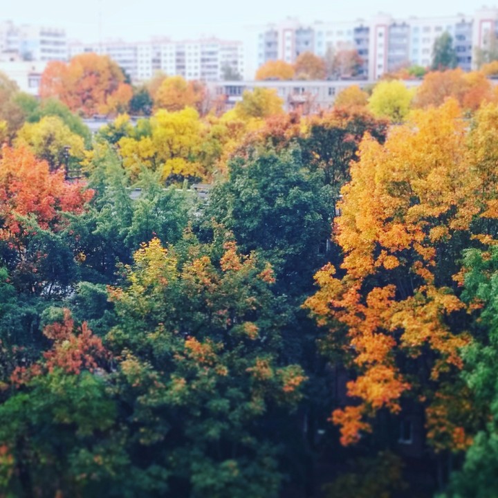 colours