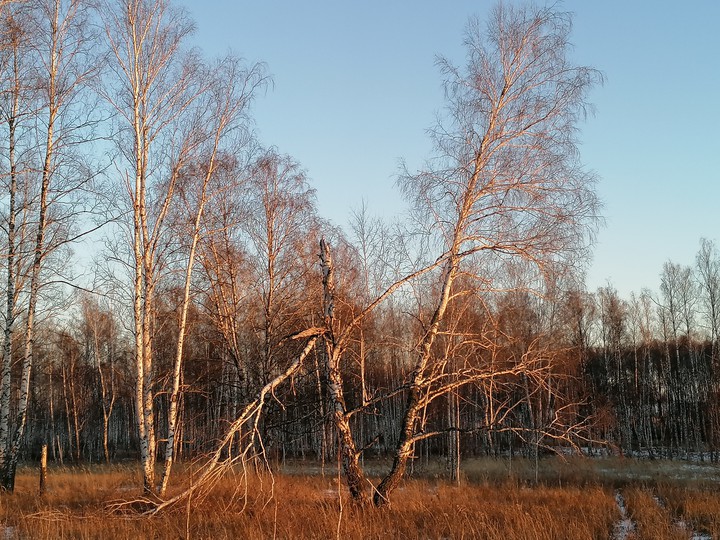 autumn