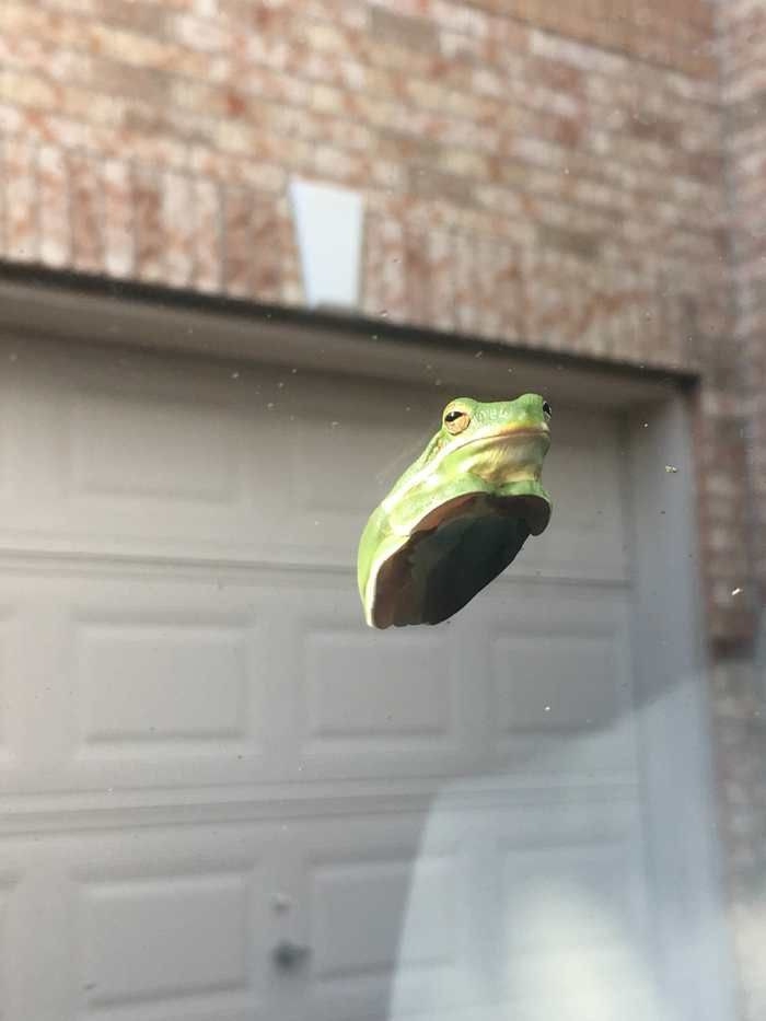 э