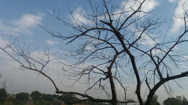 click by Ayan badar