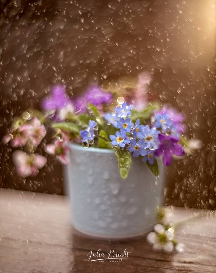 bokeh