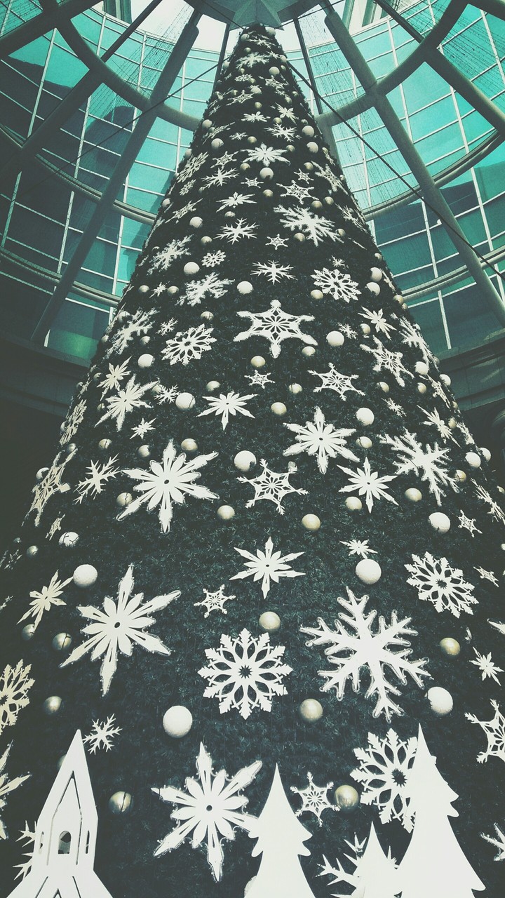 early Christmas tree