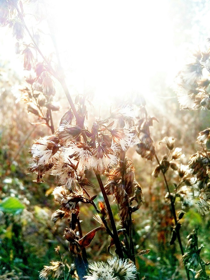 Do not forget <3