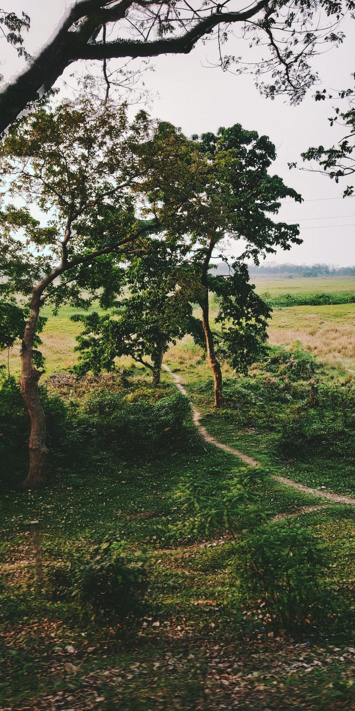 Travelling through the serenity