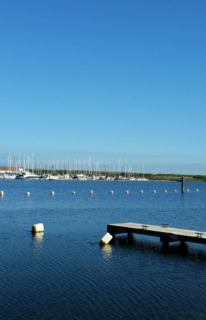 Port Zelande, Nederlands