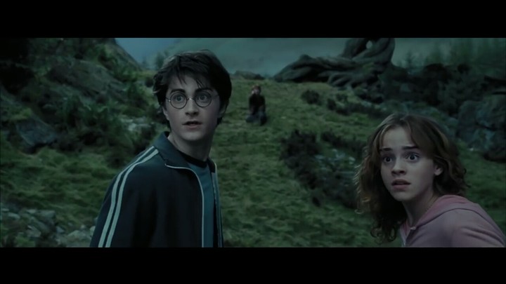 harrypotter