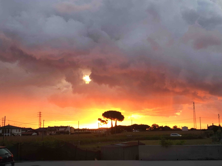 Alba