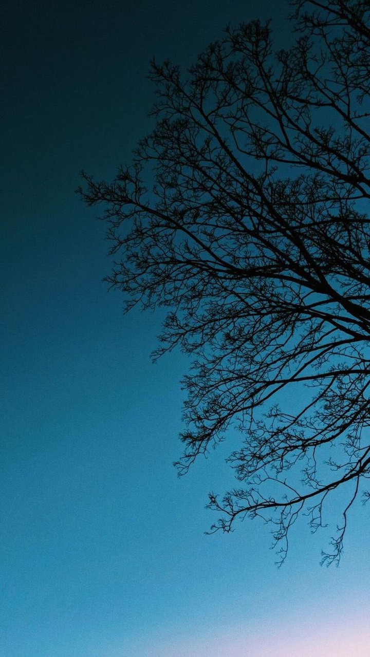 Blue sky