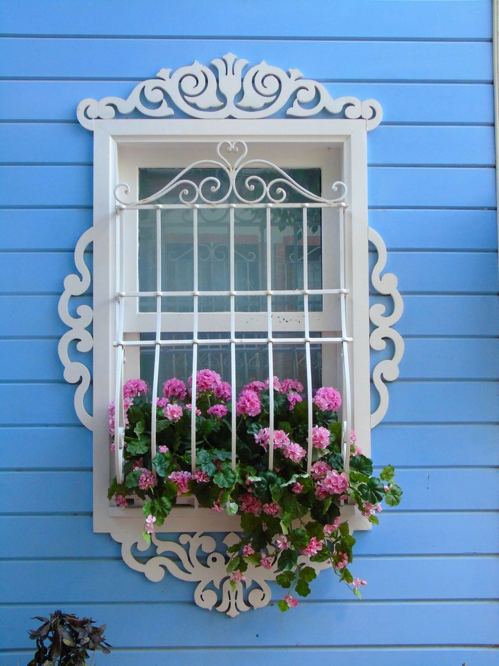 flowers on the window.