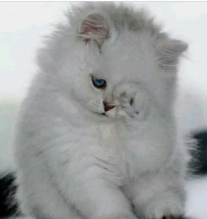 cool