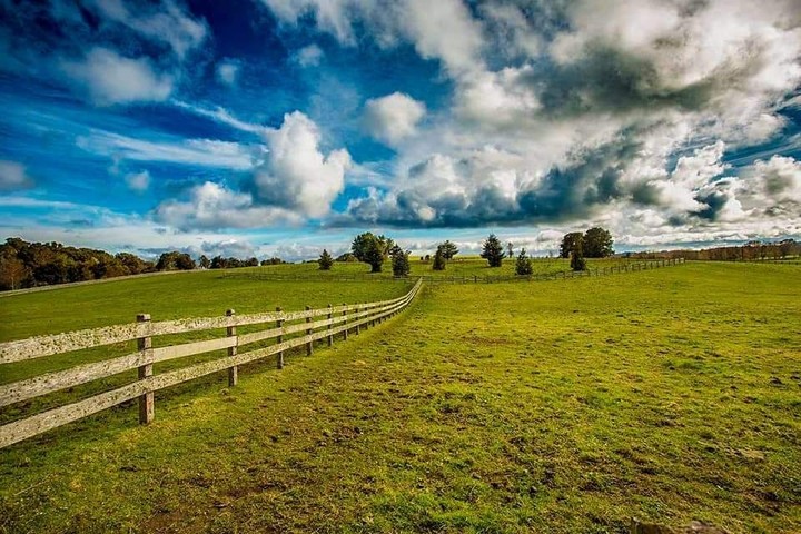 Farm