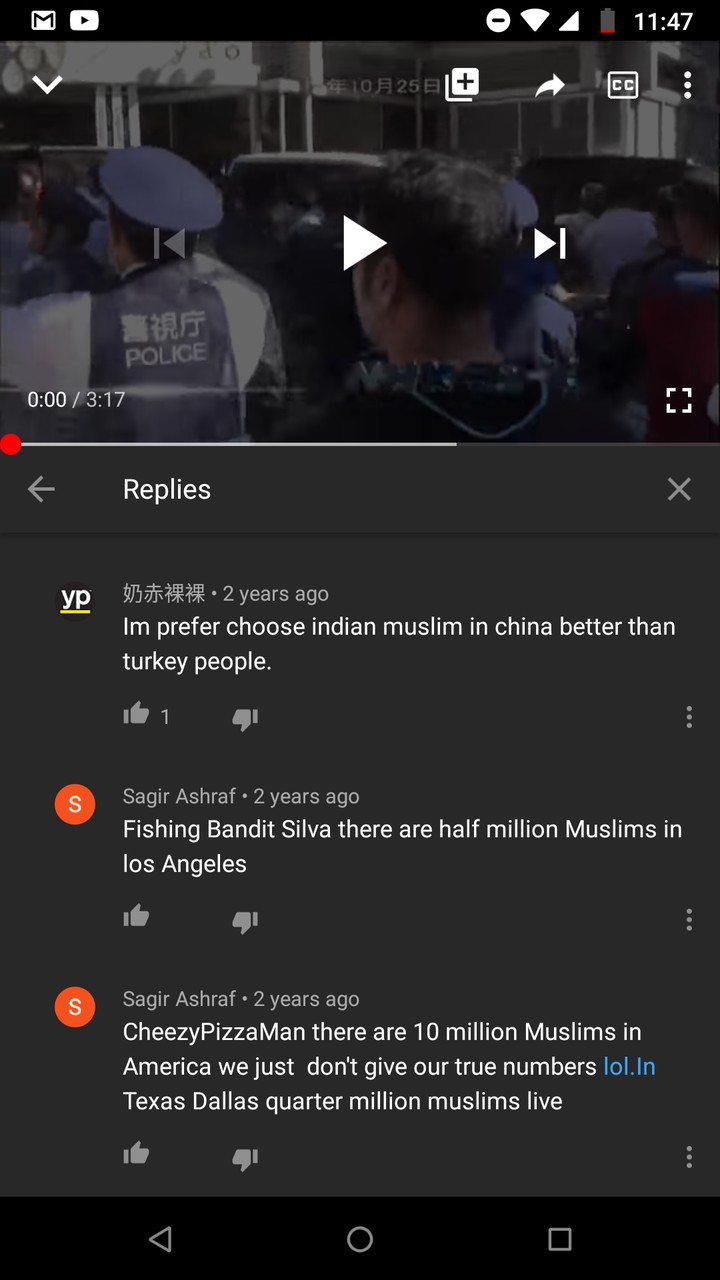 peacefull muslim are less than 1% in Usa census.!!