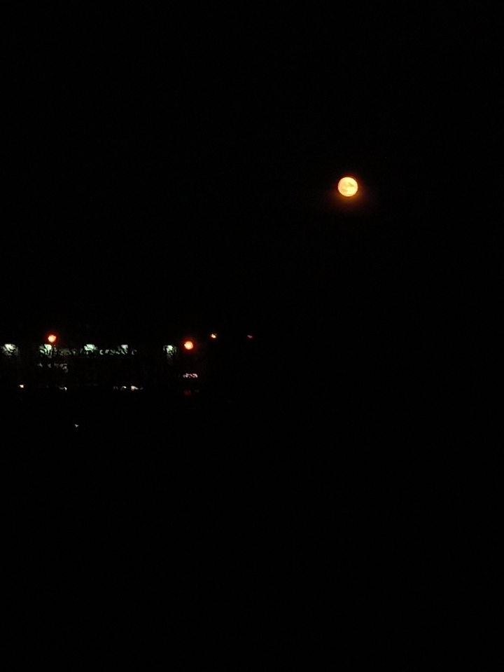 the Moon