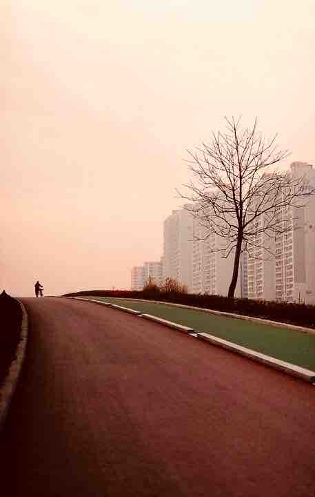 Someday