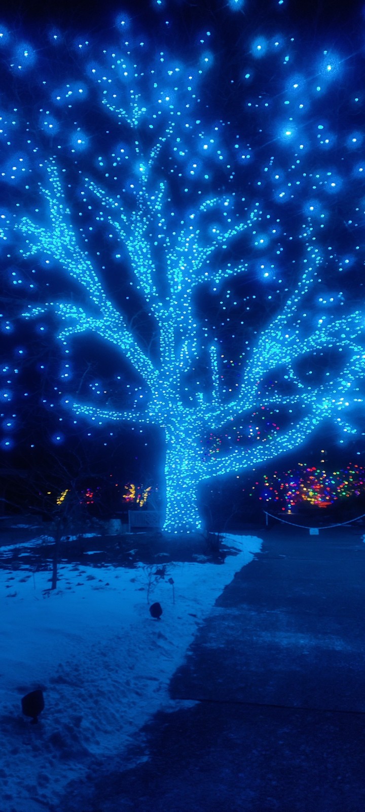 lights