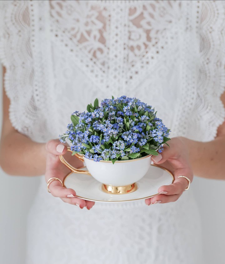Forgetmenot
