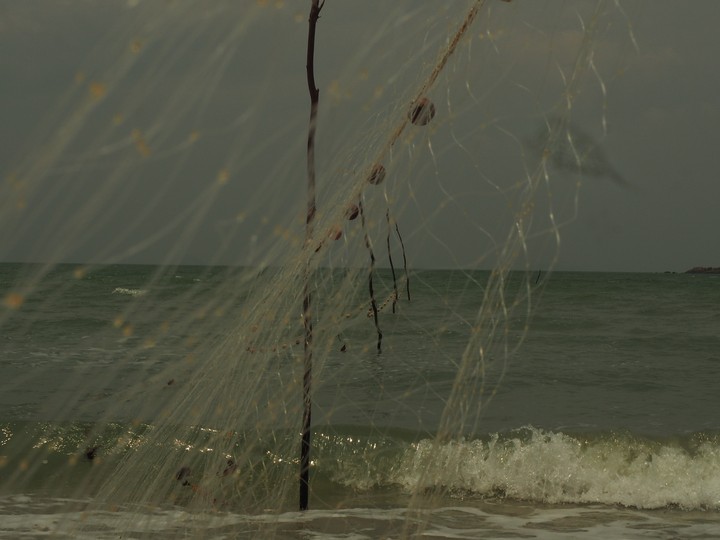 fisherman