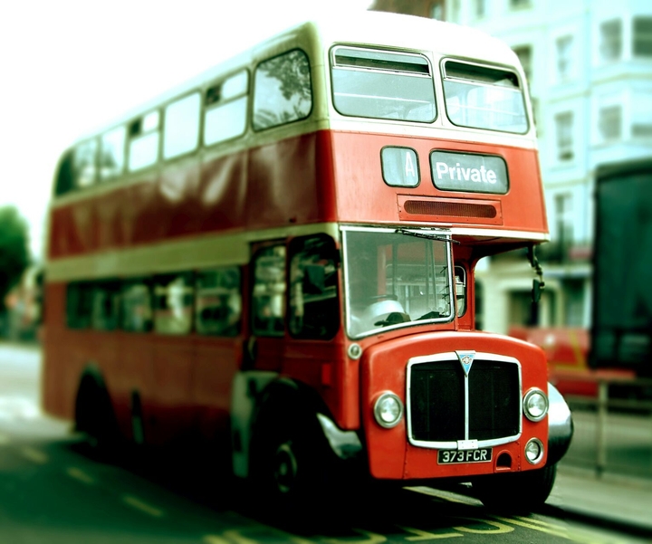 bus