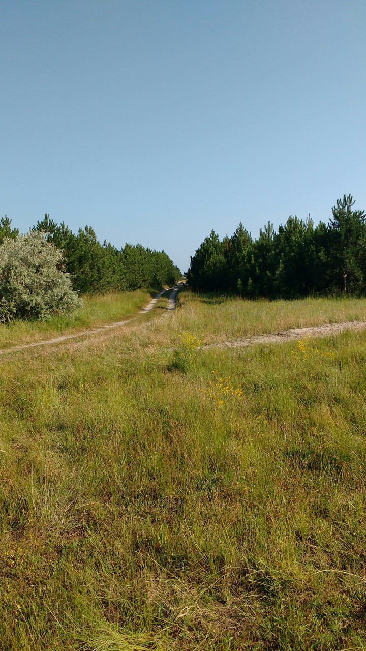 дорога к морю