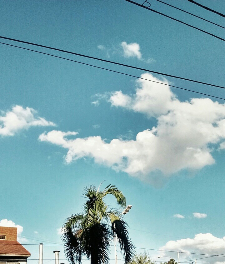 nube