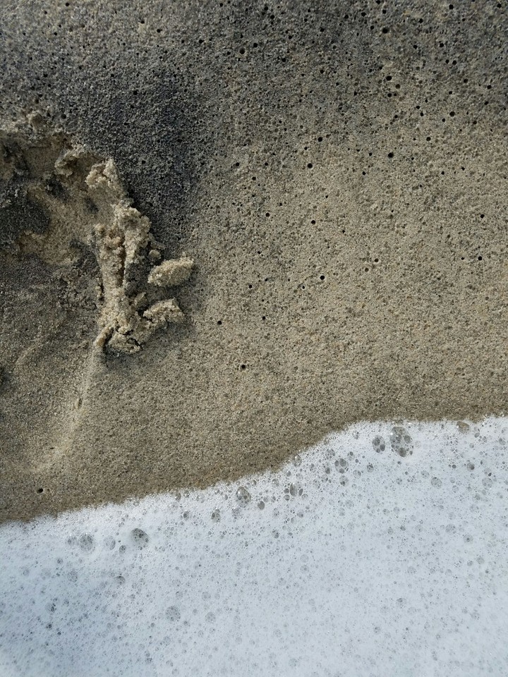 Foamy Beach
