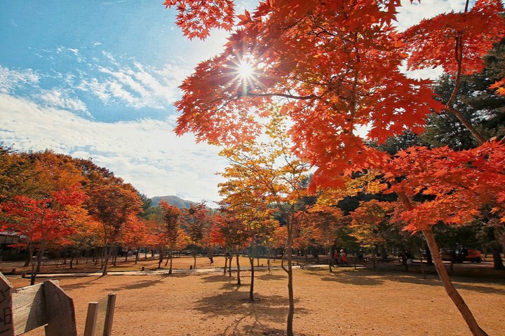 Redleaves