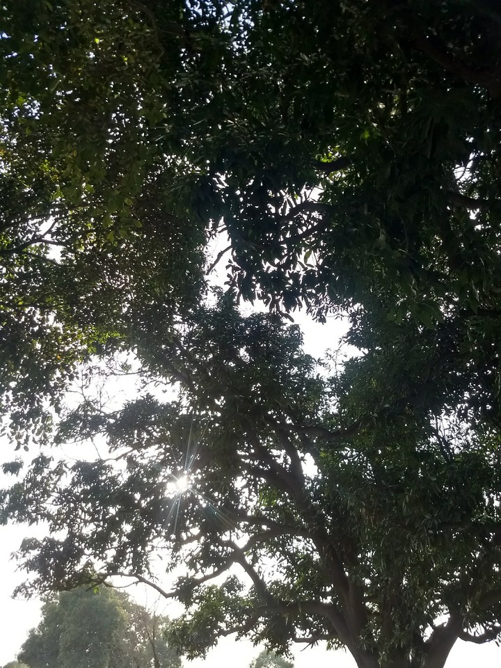 strong rays