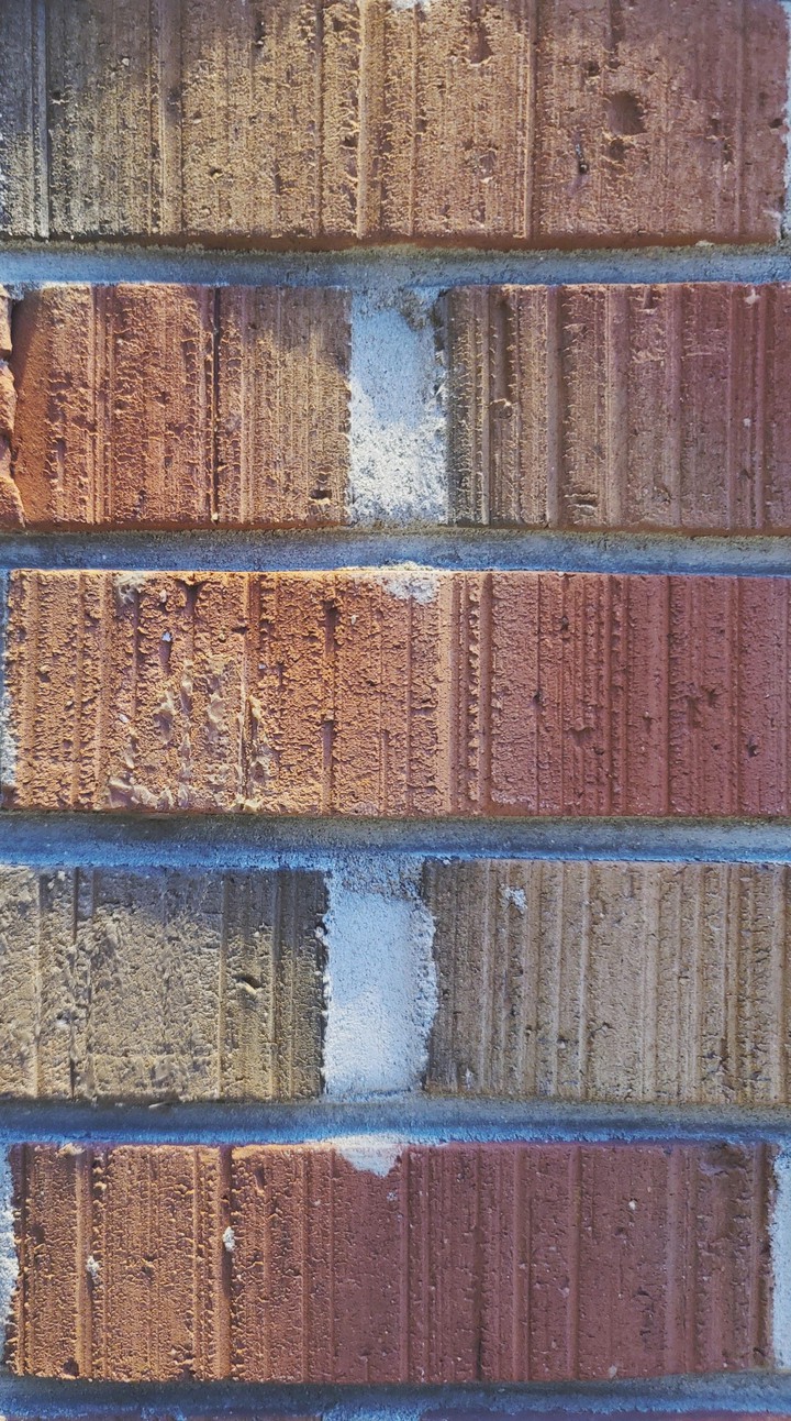 bricks