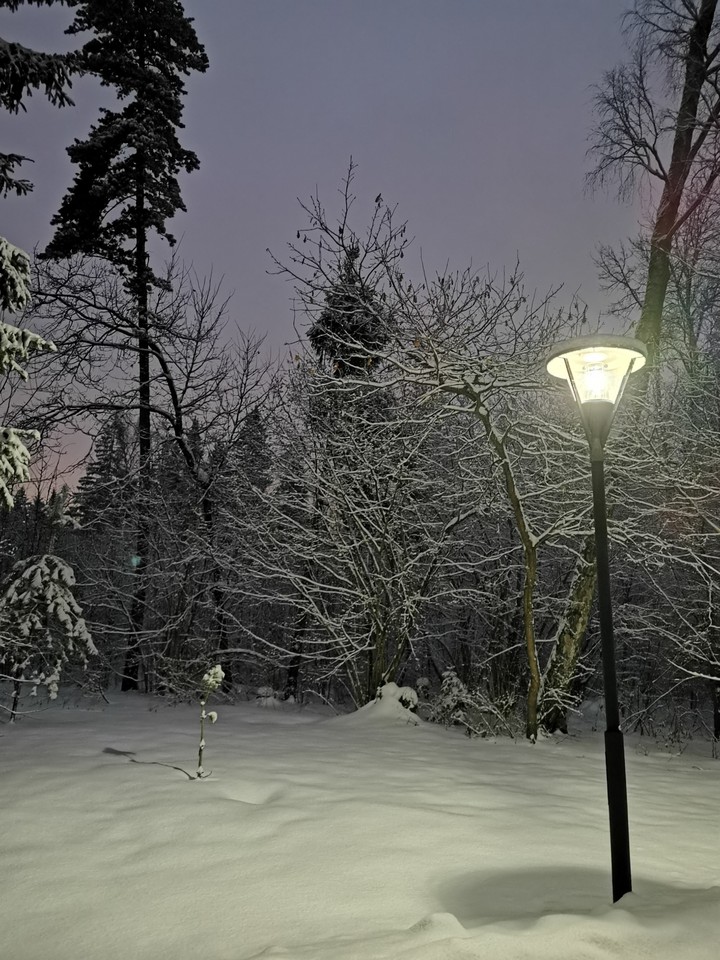 snow winter