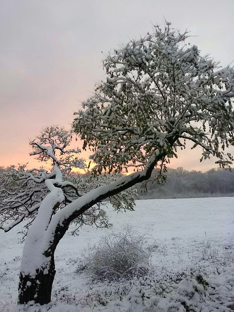 winter