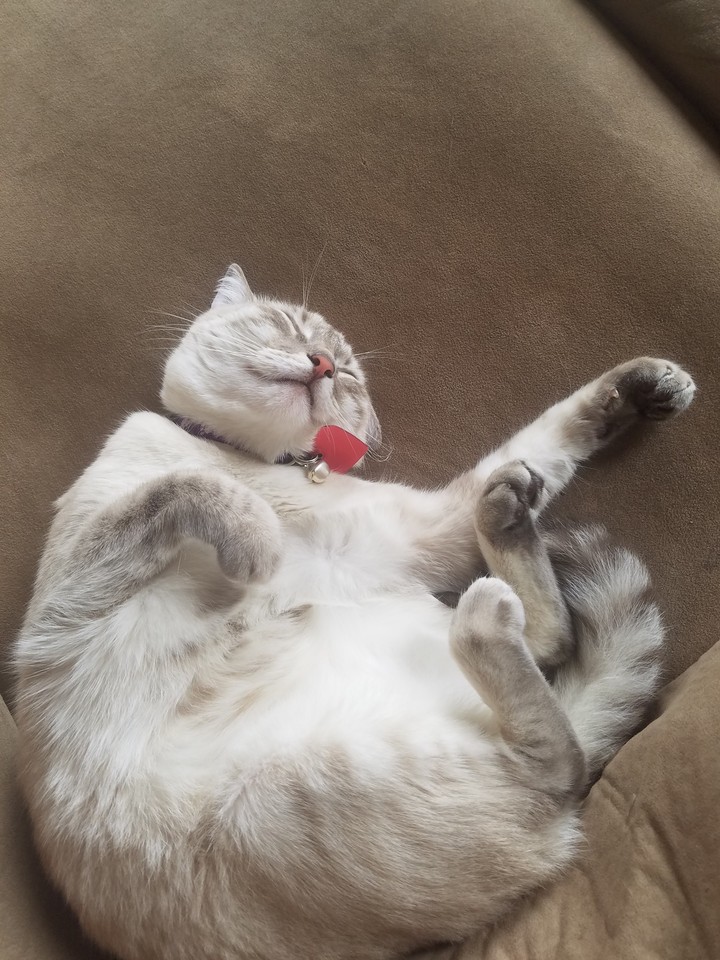 Nina