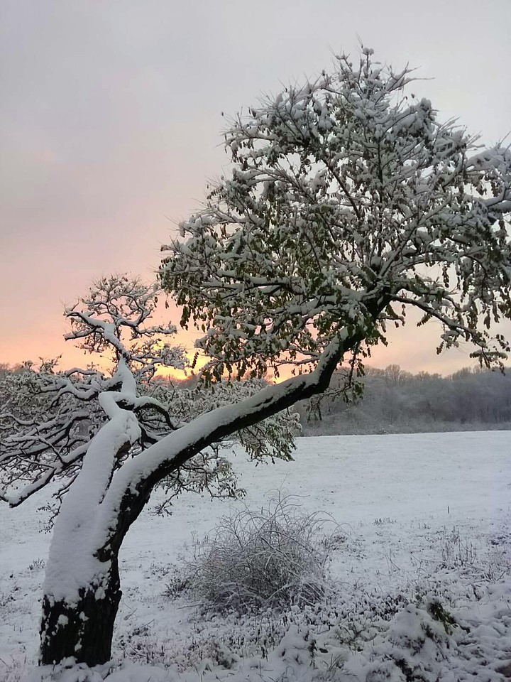 winter