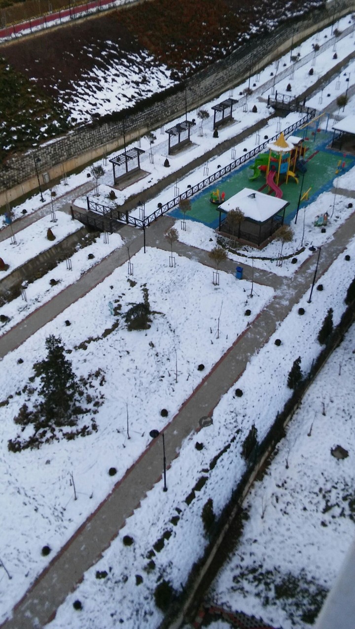 winter