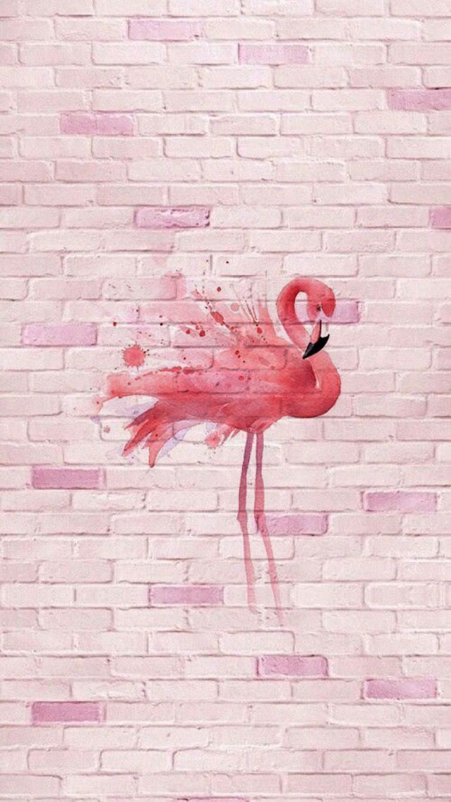 ~☆ FLAMINGO ☆~