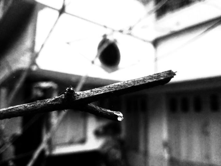 photography in winter