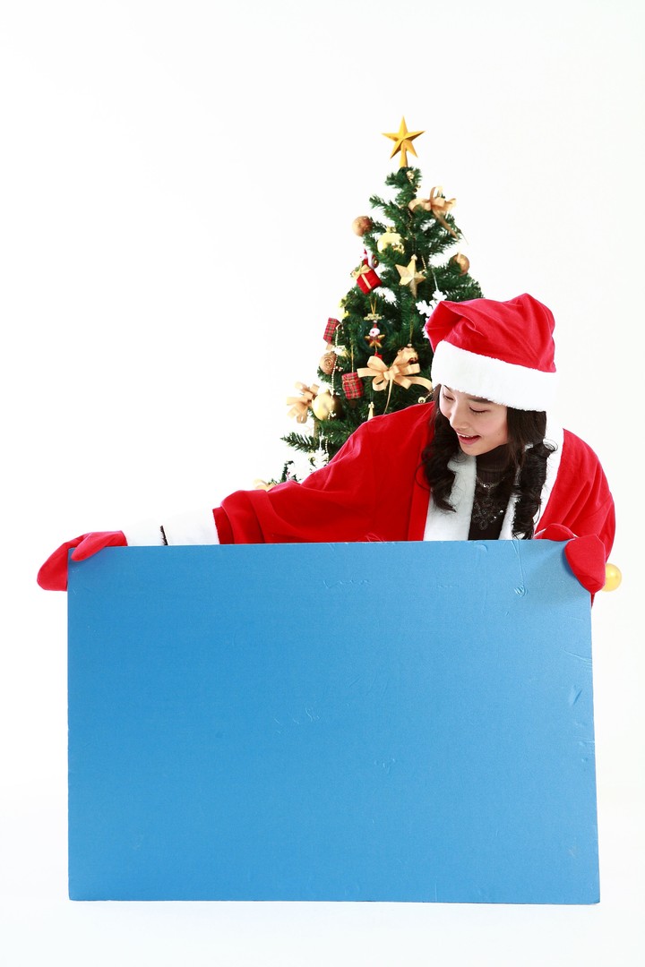 Christmas Costume