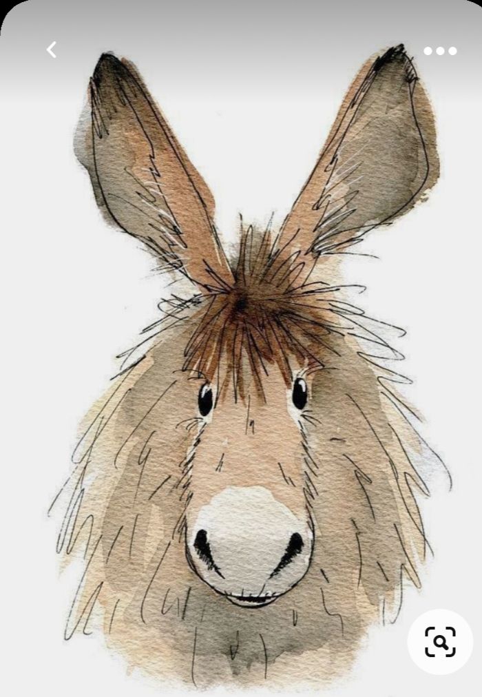 Donkey :-D