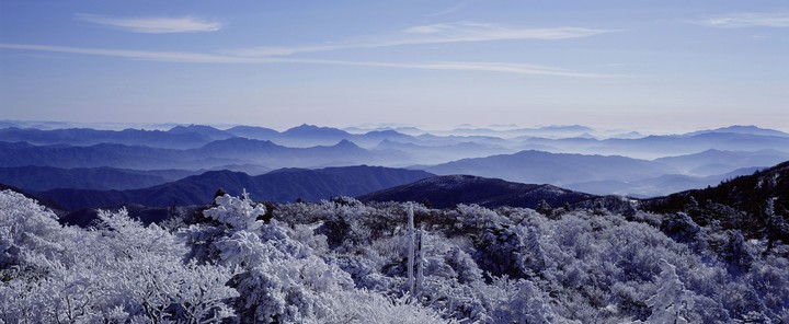 산의사계