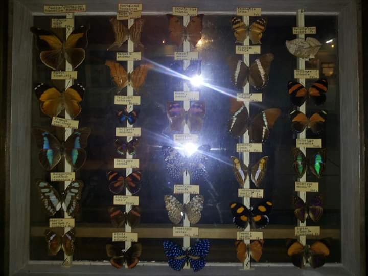 Museo de ciencias Naturales