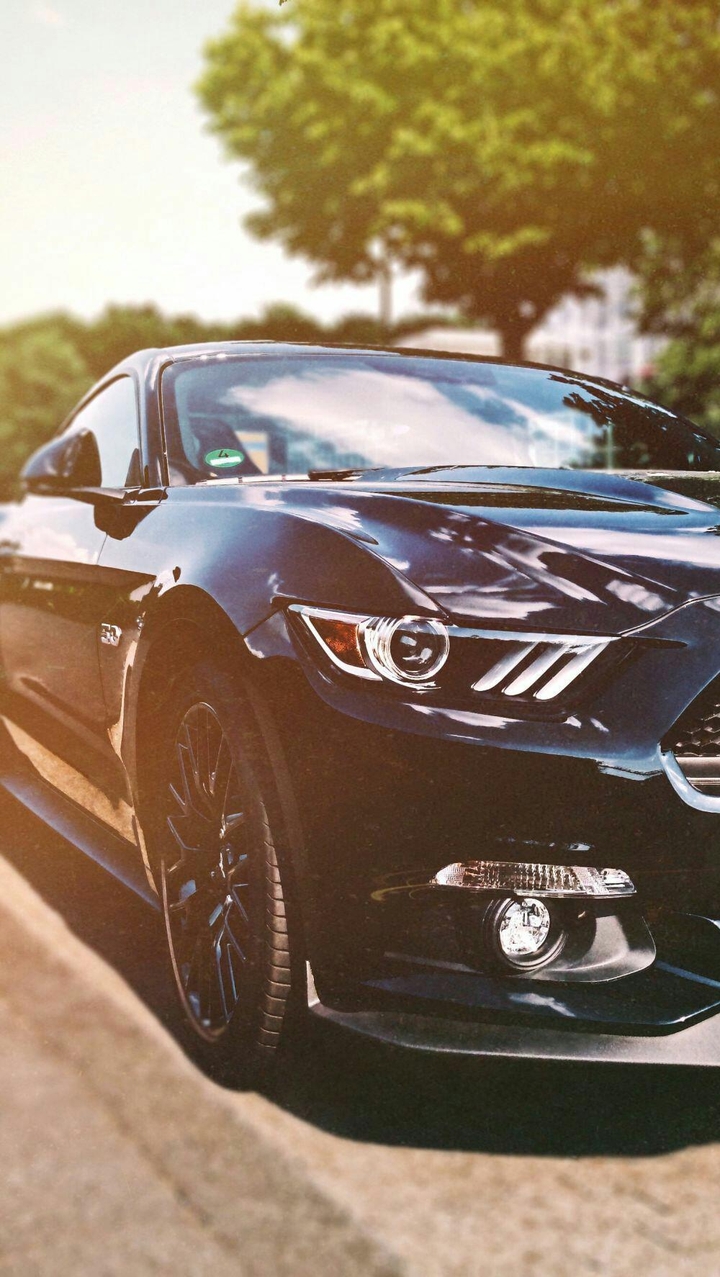 Dream Car