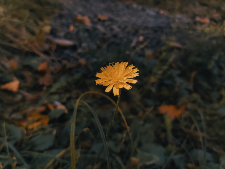 Осінь