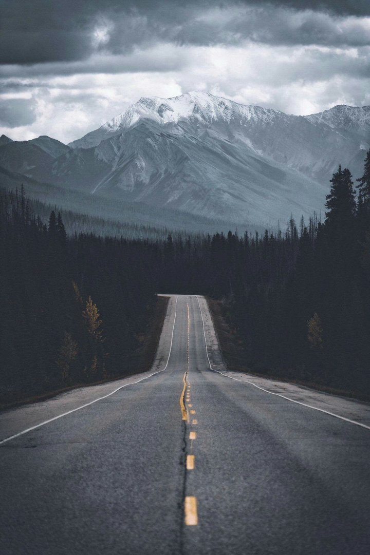 the path