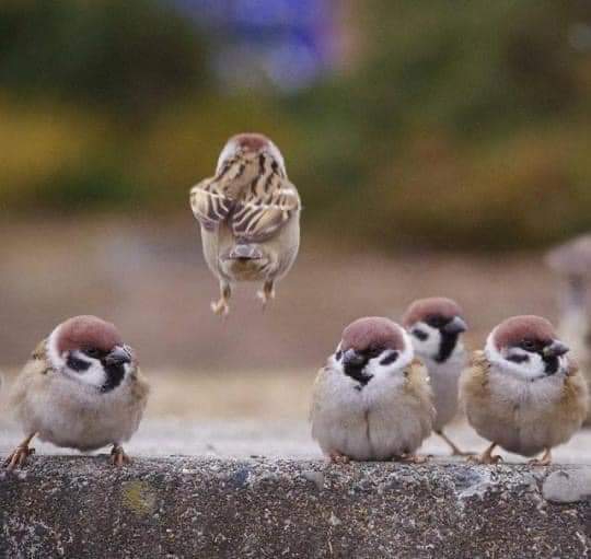 ?