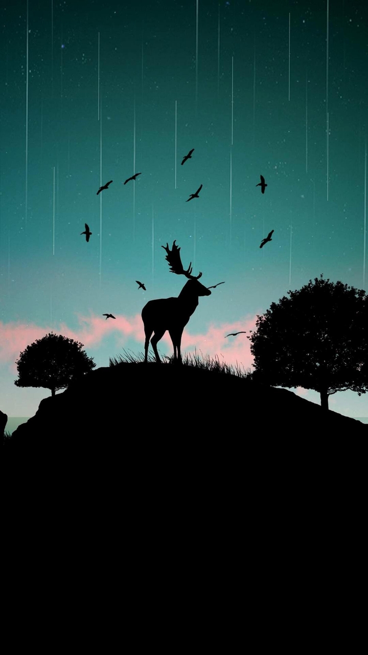 deer