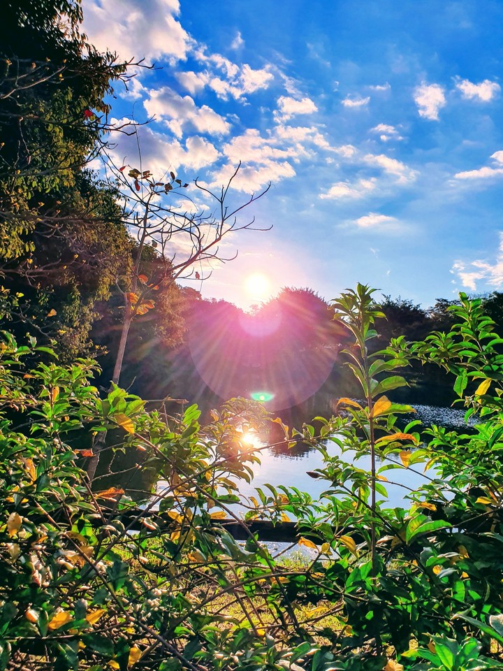 nature