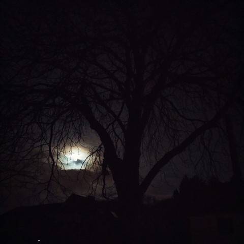 Full moon