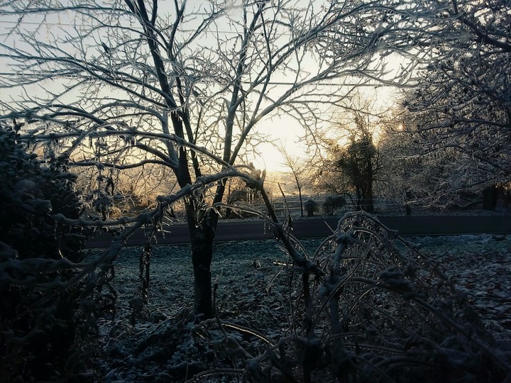 icy wonderland