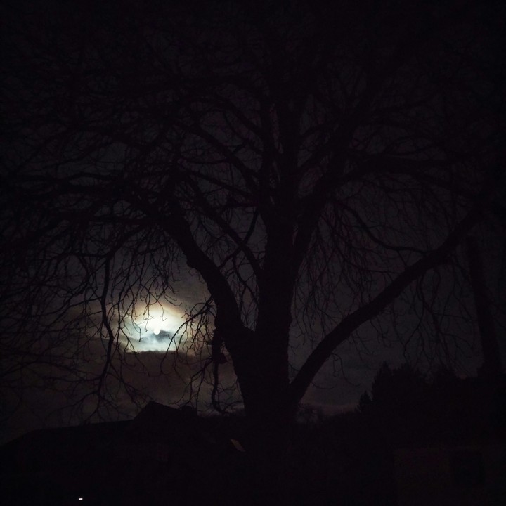 Full moon